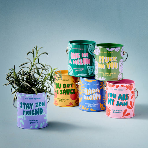 Modern Sprout Complimentary Colors Grow Kits Indoor Garden Kit Light Slate Gray Stay Zen Friend 1pk,One in a Melon 1pk,You are My Jam 1pk,Awesome Sauce 1pk,Bada Bloom 1pk,Stuck on You 1pk,Mixed 4pk,Mixed 6pk,Rockin' Around 1pk,Let It Grow 1pk,Spirits Bright 1pk,Seasonal Mixed 3pk