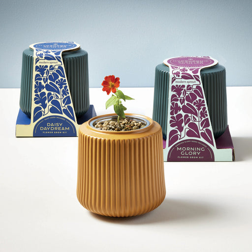 Modern Sprout Flower Grow Kits Indoor Garden Kit White Smoke Zinnia Dahlia / Goldenrod Planter,Daisy Daydream / Forest Planter,Morning Glory / Forest Planter,Morning Glory / Blush Planter