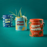 Modern Sprout Complimentary Colors Grow Kits Indoor Garden Kit Dark Cyan Seasonal Mixed 3pk