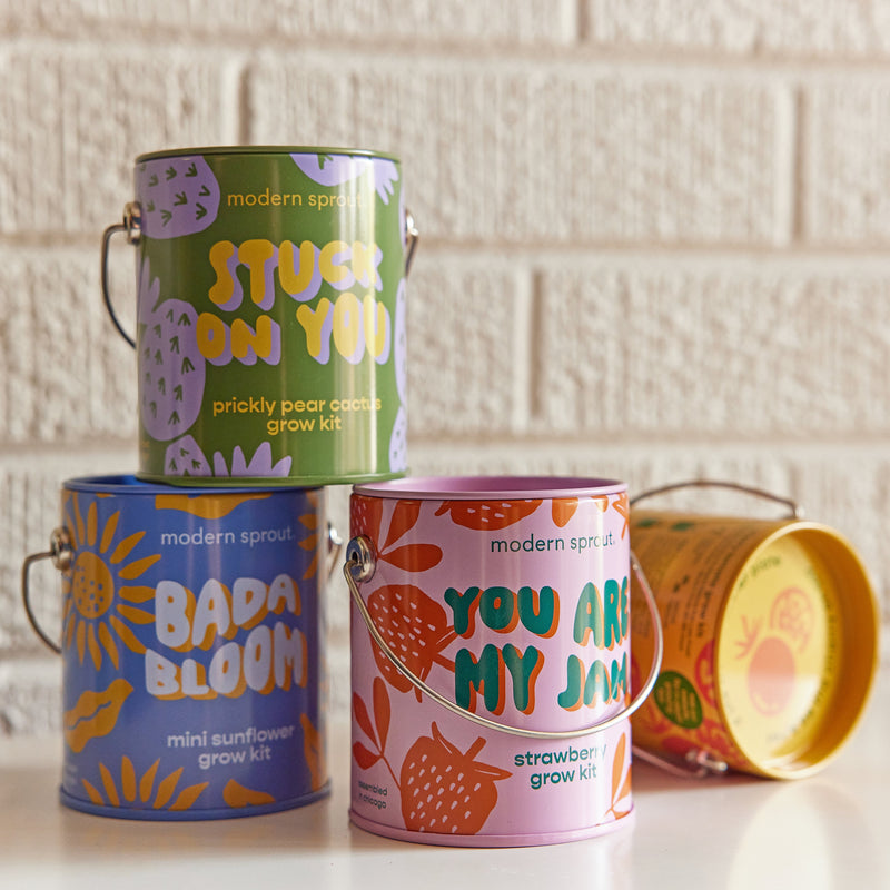 Modern Sprout Complimentary Colors Grow Kits Indoor Garden Kit Gray Stay Zen Friend 1pk,One in a Melon 1pk,You are My Jam 1pk,Awesome Sauce 1pk,Bada Bloom 1pk,Stuck on You 1pk,Mixed 4pk,Mixed 6pk,Rockin' Around 1pk,Let It Grow 1pk,Spirits Bright 1pk,Seasonal Mixed 3pk