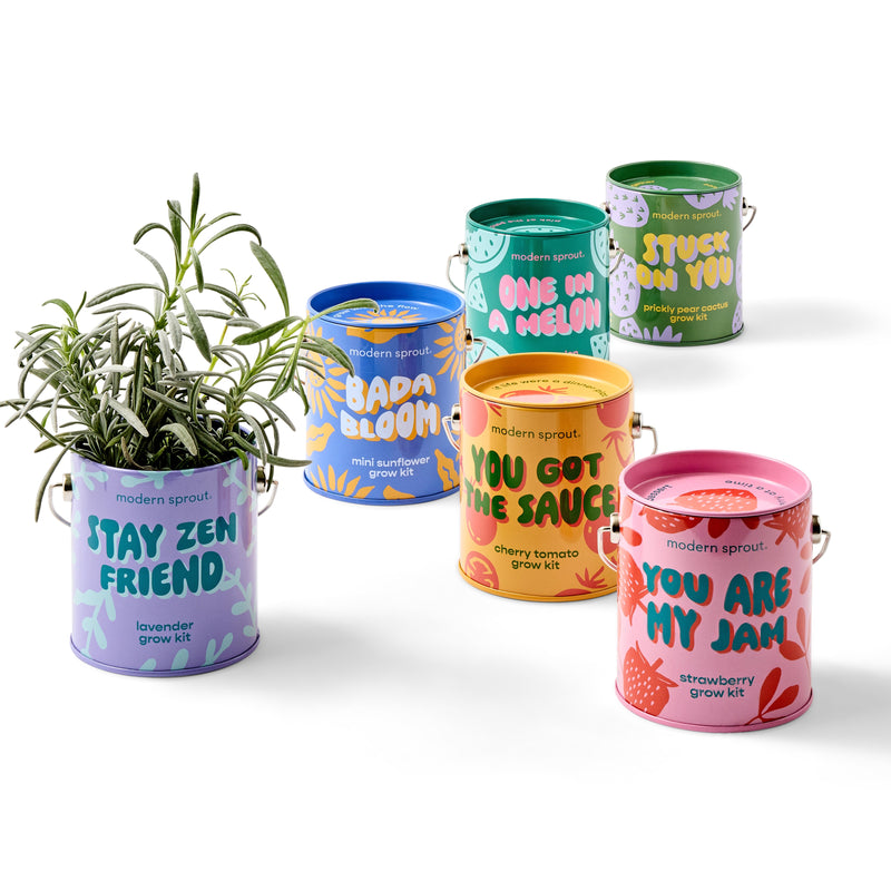 Modern Sprout Complimentary Colors Grow Kits Indoor Garden Kit White Smoke Mixed 6pk