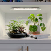 Modern Sprout Smart Growbar Grow Light Dark Gray