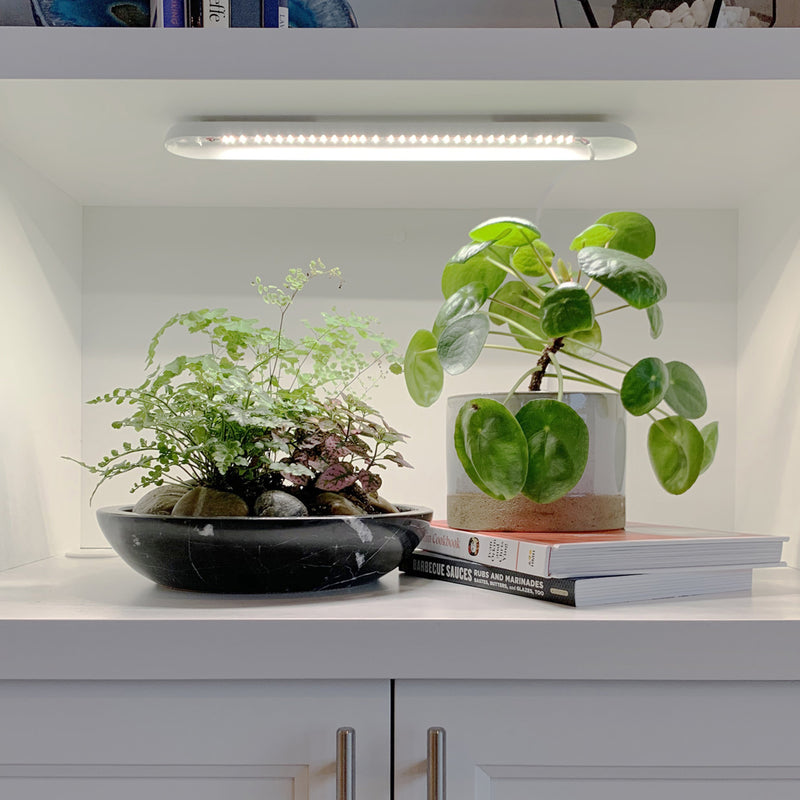 Modern Sprout Smart Growbar Grow Light Dark Gray