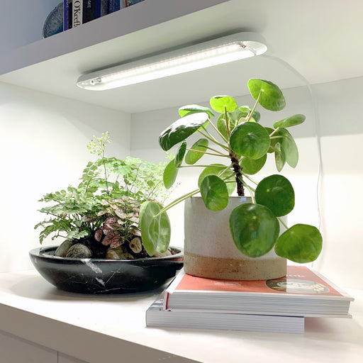 Modern Sprout Smart Growbar Grow Light White Smoke
