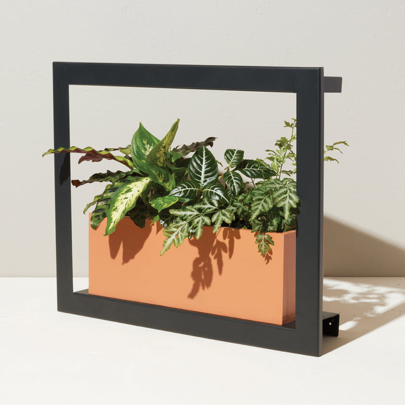 Modern Sprout Smart Standard Growframe Grow Light Light Gray Matte Black,Turmeric,Emerald,Matte White
