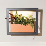 Modern Sprout Smart Standard Growframe Grow Light Light Gray Matte Black,Turmeric,Emerald,Matte White