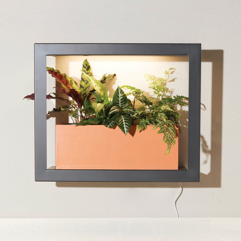 Modern Sprout Smart Standard Growframe Grow Light Light Gray Matte Black,Turmeric,Emerald,Matte White