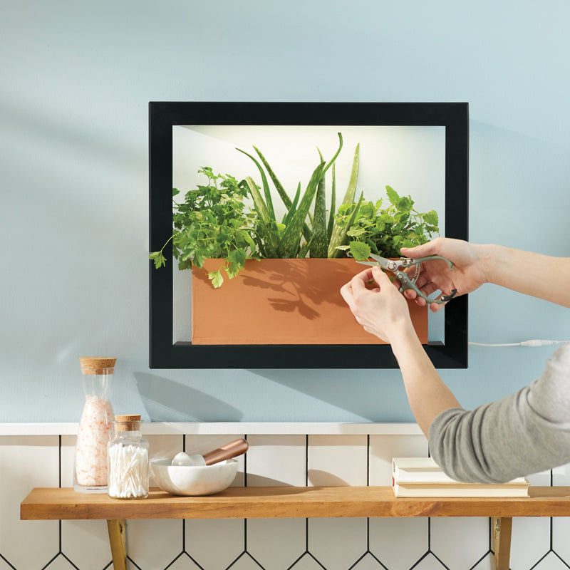 Modern Sprout Smart Standard Growframe Grow Light Gray Matte Black,Turmeric,Emerald,Matte White