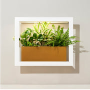 Modern Sprout Smart Standard Growframe Grow Light Light Gray Matte Black,Turmeric,Emerald,Matte White