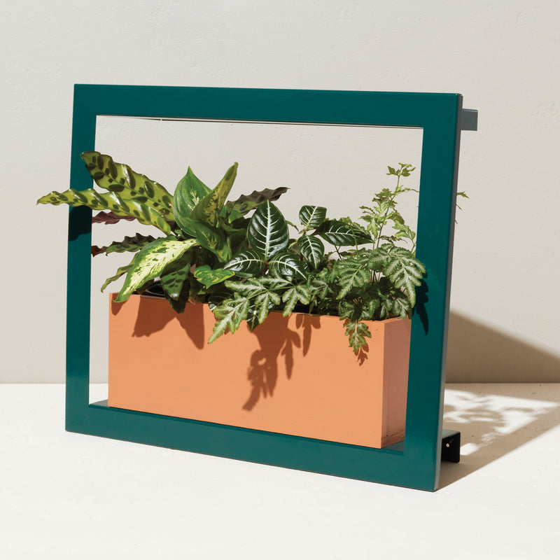 Modern Sprout Smart Standard Growframe Grow Light Light Gray Matte Black,Turmeric,Emerald,Matte White