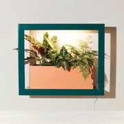 Modern Sprout Smart Standard Growframe Grow Light Light Gray Matte Black,Turmeric,Emerald,Matte White