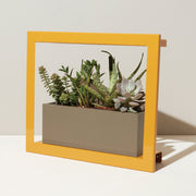 Modern Sprout Smart Standard Growframe Grow Light Light Gray Matte Black,Turmeric,Emerald,Matte White