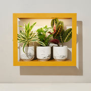 Modern Sprout Smart Standard Growframe Grow Light Gray Matte Black,Turmeric,Emerald,Matte White