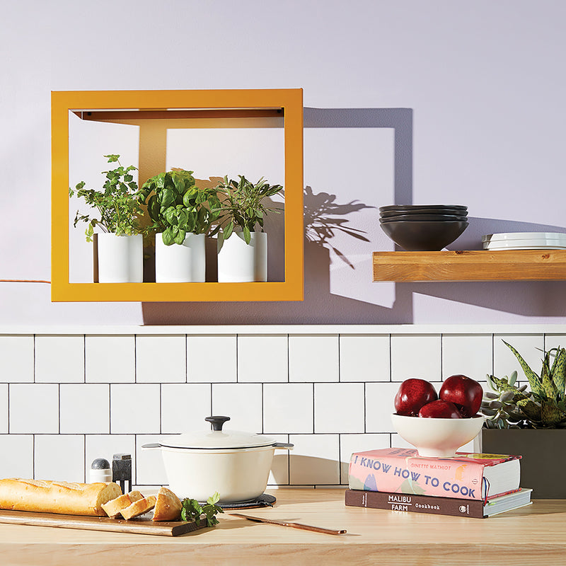 Modern Sprout Smart Standard Growframe Grow Light Lavender Matte Black,Turmeric,Emerald,Matte White