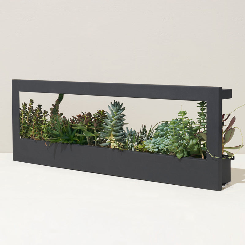 Modern Sprout Smart Landscape Growframe Grow Light Dark Slate Gray Matte Black,Emerald,Matte White