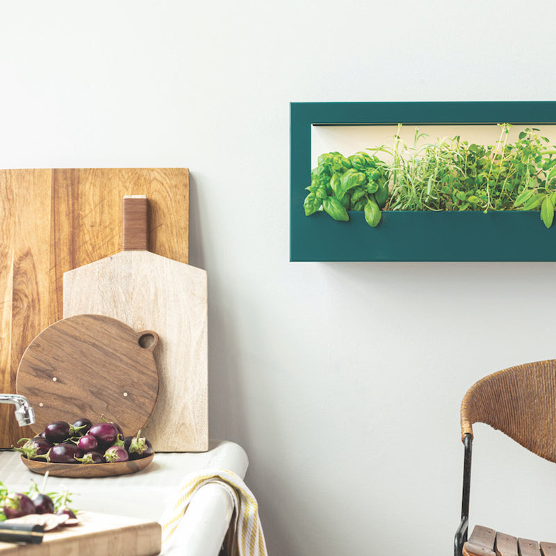 Modern Sprout Smart Landscape Growframe Grow Light Lavender Matte Black,Emerald,Matte White