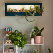Modern Sprout Smart Landscape Growframe Grow Light Dim Gray Matte Black,Emerald,Matte White