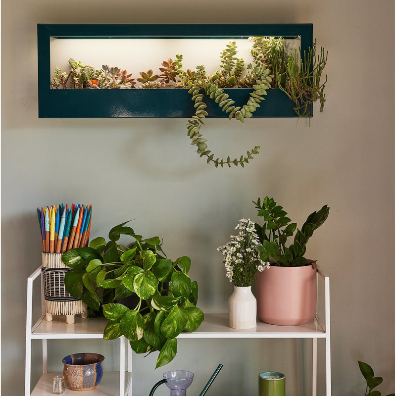Modern Sprout Smart Landscape Growframe Grow Light Dim Gray Matte Black,Emerald,Matte White