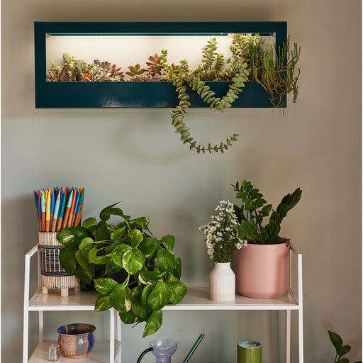 Modern Sprout Smart Landscape Growframe Grow Light Dim Gray Matte Black,Emerald,Matte White