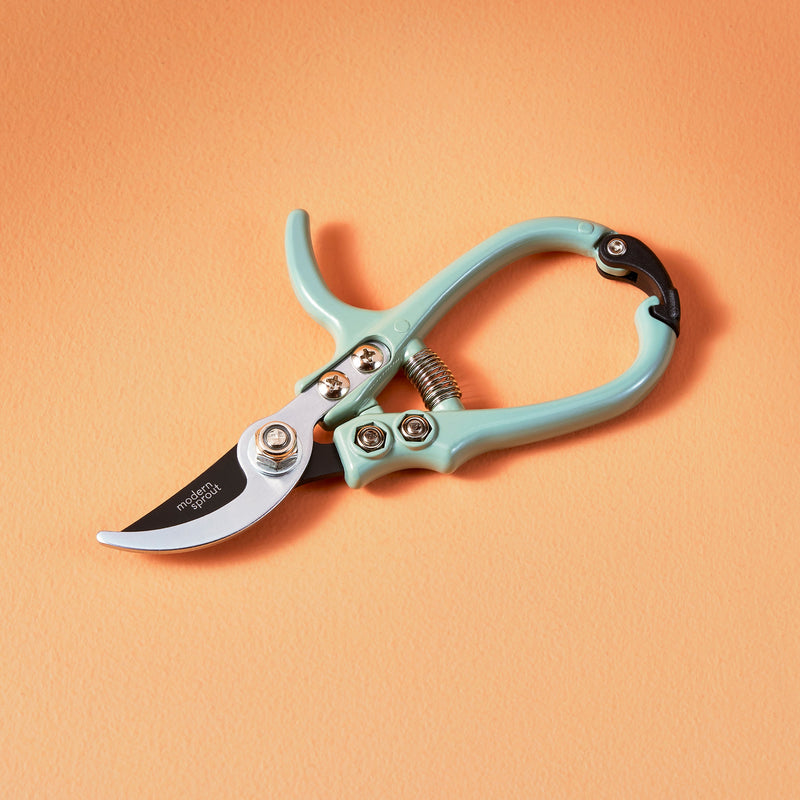 Modern Sprout Gardening Shears & Pruners Accessory Light Salmon Shears 1pk - Sage,Shears 1pk - Lavender,Shears 1pk - Ocean,Shears 1pk - Chartreuse,Pruners 1pk - Sage,Pruners 1pk - Lavender,Pruners 1pk - Ocean,Pruners 1pk - Chartreuse,Shears+Pruners 2pk - Sage,Shears+Pruners 2pk - Lavender,Shears+Pruners 2pk - Ocean,Sh