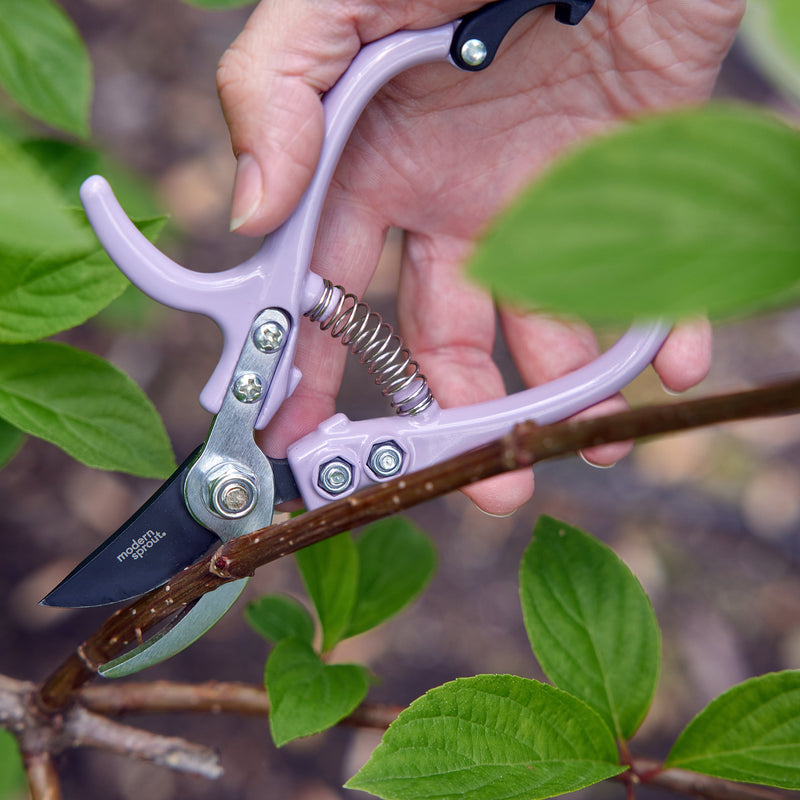 Modern Sprout Gardening Shears & Pruners Accessory Dim Gray Shears 1pk - Sage,Shears 1pk - Lavender,Shears 1pk - Ocean,Shears 1pk - Chartreuse,Pruners 1pk - Sage,Pruners 1pk - Lavender,Pruners 1pk - Ocean,Pruners 1pk - Chartreuse,Shears+Pruners 2pk - Sage,Shears+Pruners 2pk - Lavender,Shears+Pruners 2pk - Ocean,Sh