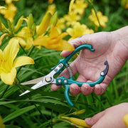 Modern Sprout Gardening Shears & Pruners Accessory Dark Green Shears 1pk - Sage,Shears 1pk - Lavender,Shears 1pk - Ocean,Shears 1pk - Chartreuse,Pruners 1pk - Sage,Pruners 1pk - Lavender,Pruners 1pk - Ocean,Pruners 1pk - Chartreuse,Shears+Pruners 2pk - Sage,Shears+Pruners 2pk - Lavender,Shears+Pruners 2pk - Ocean,Sh