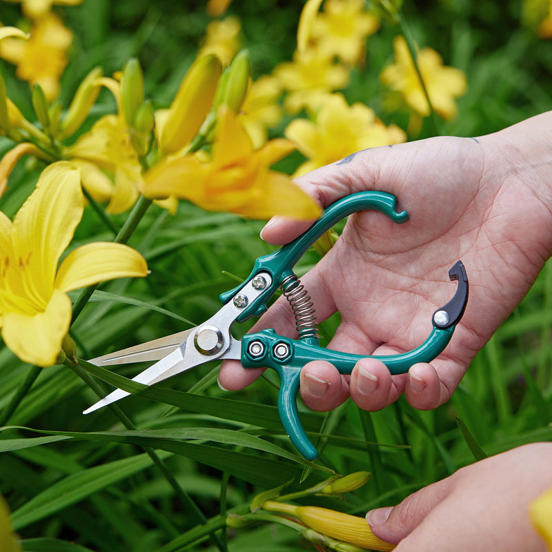 Modern Sprout Gardening Shears & Pruners Accessory Dark Green Shears 1pk - Sage,Shears 1pk - Lavender,Shears 1pk - Ocean,Shears 1pk - Chartreuse,Pruners 1pk - Sage,Pruners 1pk - Lavender,Pruners 1pk - Ocean,Pruners 1pk - Chartreuse,Shears+Pruners 2pk - Sage,Shears+Pruners 2pk - Lavender,Shears+Pruners 2pk - Ocean,Sh