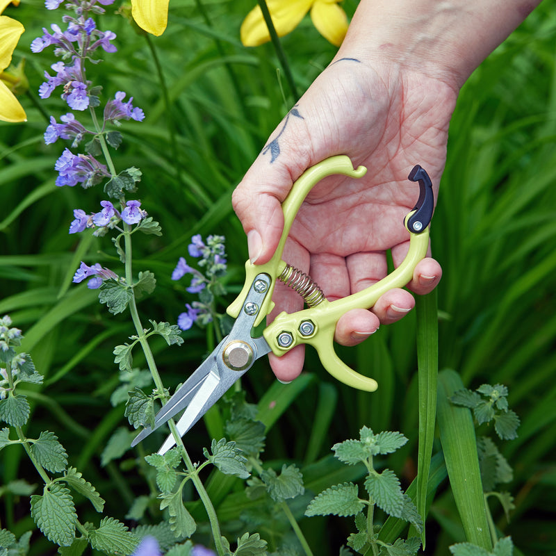Modern Sprout Gardening Shears & Pruners Accessory Black Shears 1pk - Sage,Shears 1pk - Lavender,Shears 1pk - Ocean,Shears 1pk - Chartreuse,Pruners 1pk - Sage,Pruners 1pk - Lavender,Pruners 1pk - Ocean,Pruners 1pk - Chartreuse,Shears+Pruners 2pk - Sage,Shears+Pruners 2pk - Lavender,Shears+Pruners 2pk - Ocean,Sh