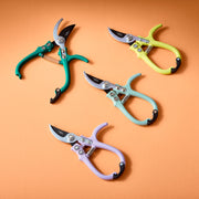 Modern Sprout Gardening Shears & Pruners Accessory Light Salmon Shears 1pk - Sage,Shears 1pk - Lavender,Shears 1pk - Ocean,Shears 1pk - Chartreuse,Pruners 1pk - Sage,Pruners 1pk - Lavender,Pruners 1pk - Ocean,Pruners 1pk - Chartreuse,Shears+Pruners 2pk - Sage,Shears+Pruners 2pk - Lavender,Shears+Pruners 2pk - Ocean,Sh