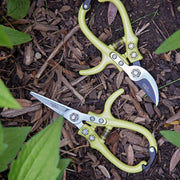 Modern Sprout Gardening Shears & Pruners Accessory Dark Slate Gray Shears 1pk - Sage,Shears 1pk - Lavender,Shears 1pk - Ocean,Shears 1pk - Chartreuse,Pruners 1pk - Sage,Pruners 1pk - Lavender,Pruners 1pk - Ocean,Pruners 1pk - Chartreuse,Shears+Pruners 2pk - Sage,Shears+Pruners 2pk - Lavender,Shears+Pruners 2pk - Ocean,Sh