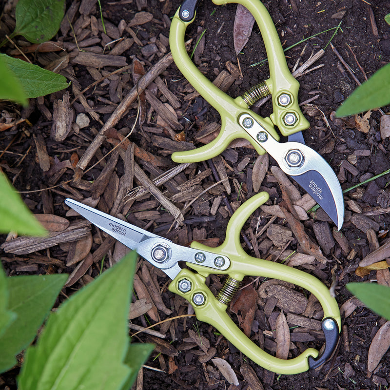 Modern Sprout Gardening Shears & Pruners Accessory Dark Slate Gray Shears 1pk - Sage,Shears 1pk - Lavender,Shears 1pk - Ocean,Shears 1pk - Chartreuse,Pruners 1pk - Sage,Pruners 1pk - Lavender,Pruners 1pk - Ocean,Pruners 1pk - Chartreuse,Shears+Pruners 2pk - Sage,Shears+Pruners 2pk - Lavender,Shears+Pruners 2pk - Ocean,Sh