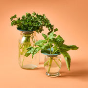 Modern Sprout Produce Keepers, 2pk Accessory Light Salmon
