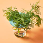 Modern Sprout Produce Keepers, 2pk Accessory Light Goldenrod