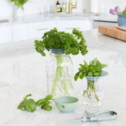 Modern Sprout Produce Keepers, 2pk Accessory Light Gray
