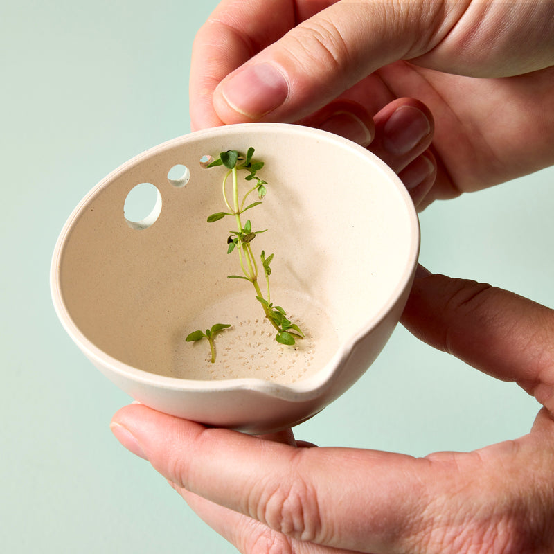 Modern Sprout Peel, Grate & Prep Dish Accessory Gray