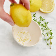 Modern Sprout Peel, Grate & Prep Dish Accessory Light Gray