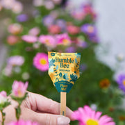 Modern Sprout Seed Pops - Pollinator Playful Planting Dark Gray Humble Bee 1pk,Butterfly 1pk,Song Bird 1pk,Mixed 12pk