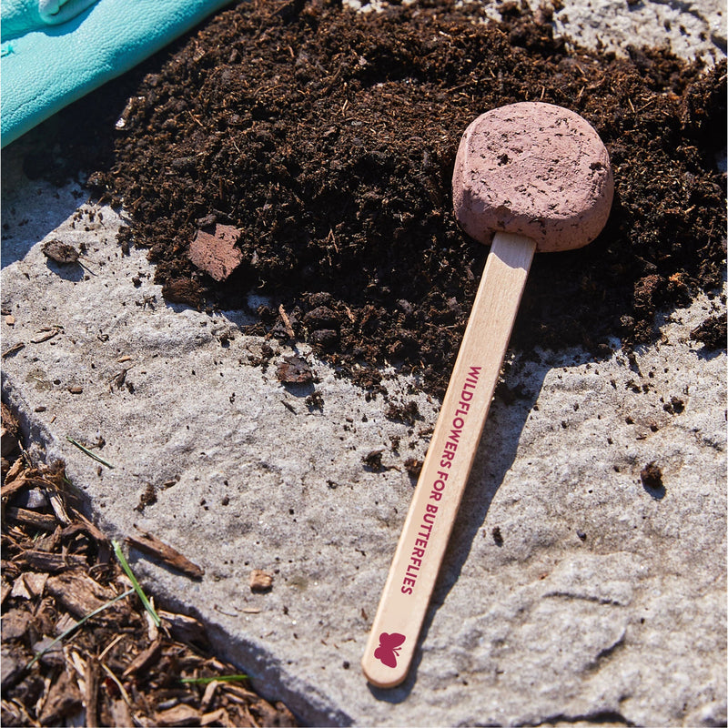 Modern Sprout Seed Pops - Garden Playful Planting Dark Gray Strawberry 1pk,Carrot Bunch 1pk,Sweet Basil 1pk,Mixed 12pk