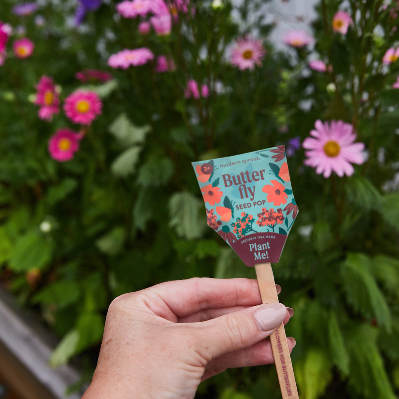 Modern Sprout Seed Pops - Pollinator Playful Planting Dark Green Humble Bee 1pk,Butterfly 1pk,Song Bird 1pk,Mixed 12pk