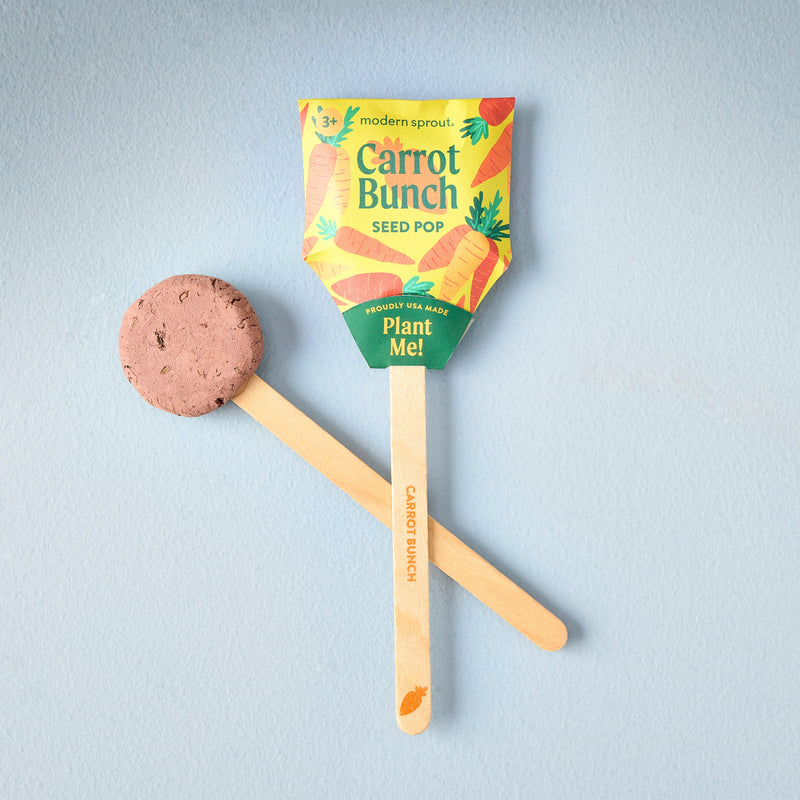 Modern Sprout Seed Pops - Garden Playful Planting Light Gray Strawberry 1pk,Carrot Bunch 1pk,Sweet Basil 1pk,Mixed 12pk