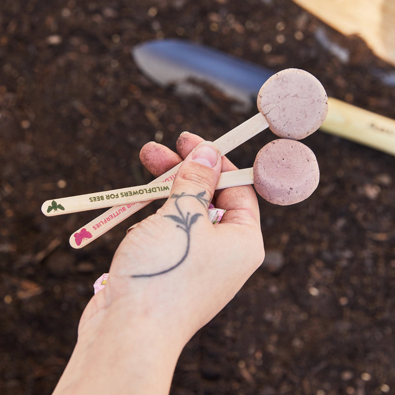 Modern Sprout Seed Pops - Garden Playful Planting Gray Strawberry 1pk,Carrot Bunch 1pk,Sweet Basil 1pk,Mixed 12pk