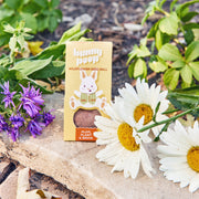 Modern Sprout Easter Plops Playful Planting Light Gray Bunny 1pk,Chickadee 1pk,Lil' Lamb 1pk,Mixed 3pk