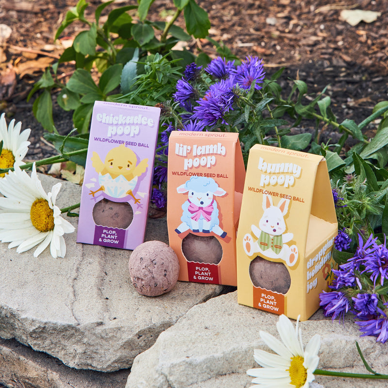 Modern Sprout Easter Plops Playful Planting Rosy Brown Bunny 1pk,Chickadee 1pk,Lil' Lamb 1pk,Mixed 3pk