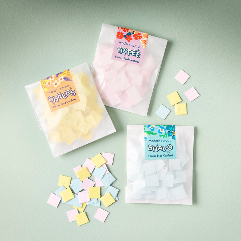 Modern Sprout Seed Paper Confetti Refill Packs Playful Planting Light Gray Mixed 12pk