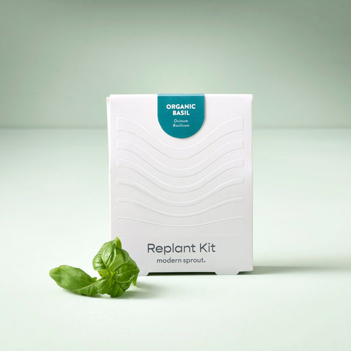 Modern Sprout Immersion Hydroponic Replant Kit Accessory Light Gray Organic Basil,Organic Cilantro,Organic Parsley,Organic Mint,Organic Rosemary,Lavender