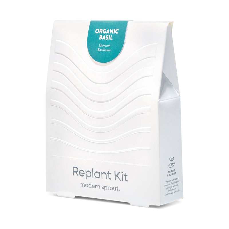 Modern Sprout Immersion Hydroponic Replant Kit Accessory White Smoke Organic Basil,Organic Cilantro,Organic Parsley,Organic Mint,Organic Rosemary,Lavender