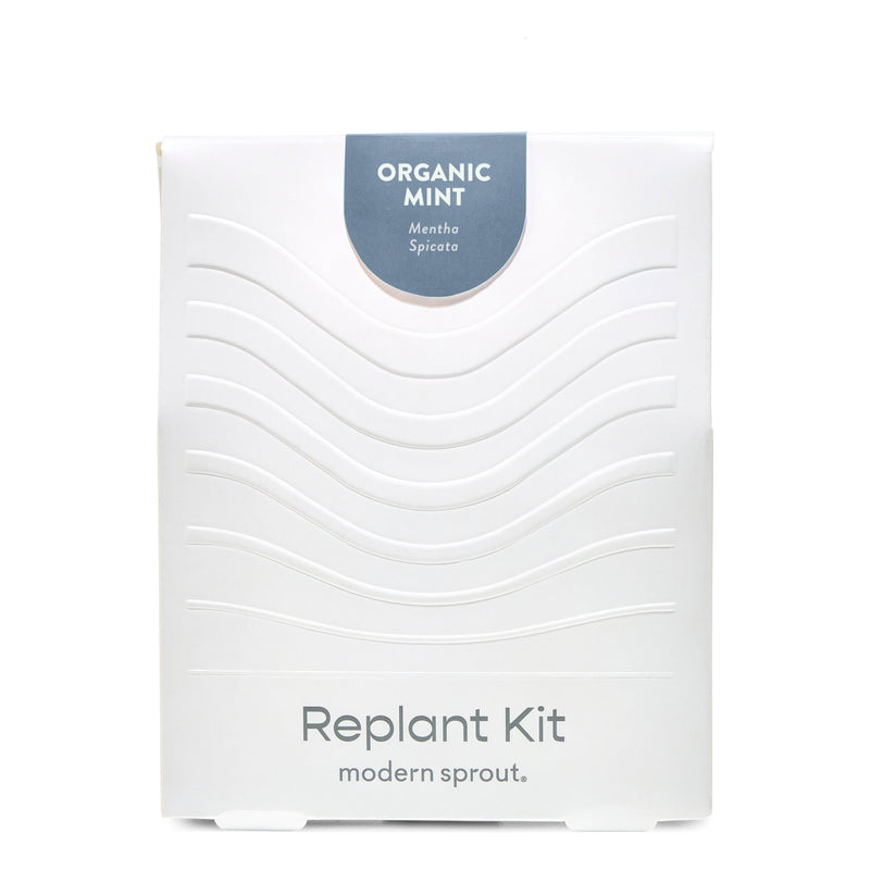 Modern Sprout Immersion Hydroponic Replant Kit Accessory White Smoke Organic Mint