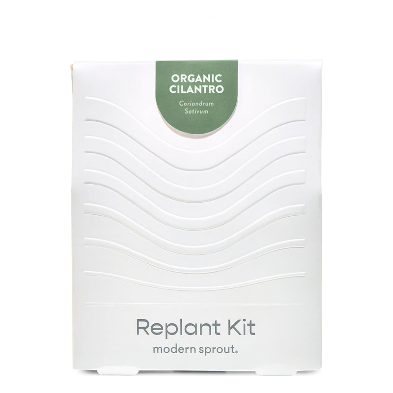Modern Sprout Immersion Hydroponic Replant Kit Accessory White Smoke Organic Cilantro