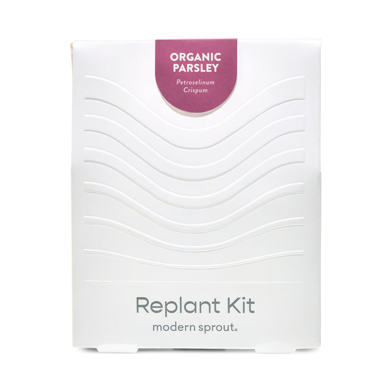 Modern Sprout Immersion Hydroponic Replant Kit Accessory White Smoke Organic Parsley