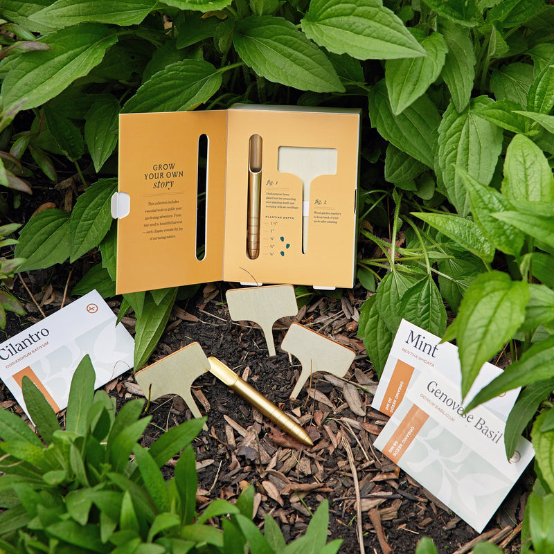 Modern Sprout Seed Library Gift Set Dark Olive Green Culinary Herbs,Heirloom Vegetables,Enchanted Garden